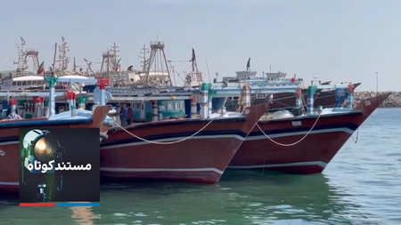 مستند کوتاه - تورهای خالی