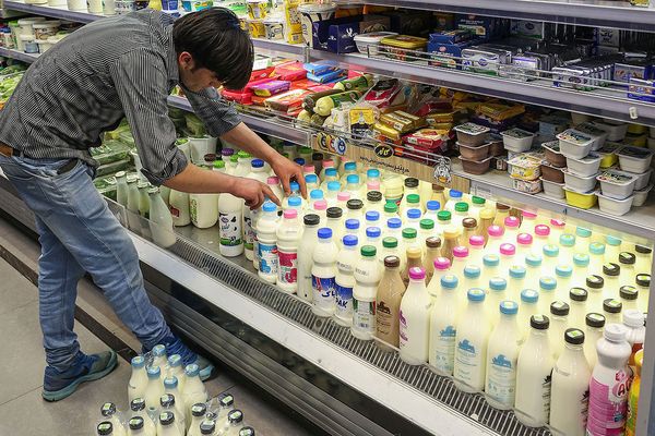 ارتفاع أسعار مشتقات الحليب يدفع الإيرانيين إلى حذفها من موائدهم