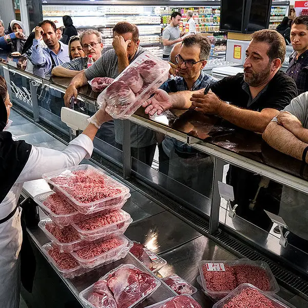 Malnutrition, food poverty rise amid Iran economic malaise - newspaper