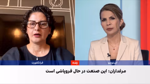 تجمع مرغداران در اعتراض به بحران نهاده‌های دامی و قطع برق